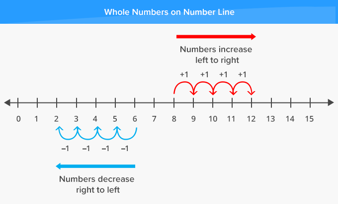 Adding and subtracting on the number line