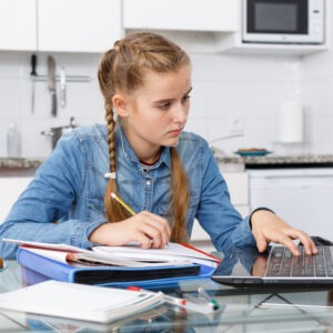 private at home tutoring through online computer